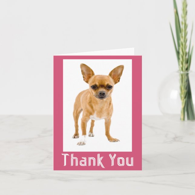Tack Chihuahua Puppy Hund Blank Notecard Kort (Framsida)