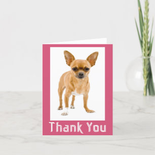 Tack Chihuahua Puppy Hund Blank Notecard Kort