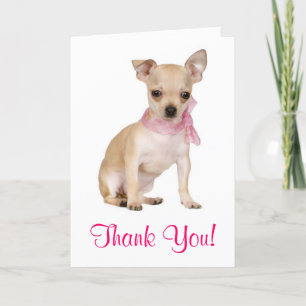 Tack Chihuahua Puppy-Hund-gratulationskort Kort