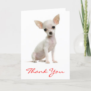 Tack Chihuahua Puppy-Hund Kort