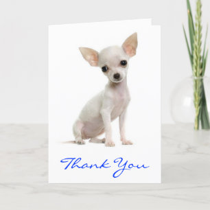 Tack Chihuahua Puppy-Hund Kort