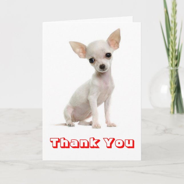 Tack Chihuahua Puppy-Hund Kort (Framsida)