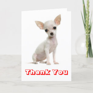 Tack Chihuahua Puppy-Hund Kort
