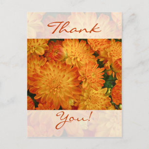 Tack - Chrysanthemums Fire Orange Vykort