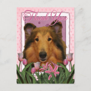 Tack - Collie - Natalie Vykort