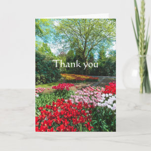 Tack Colorful Garden Tulips Dutch Flowers Kort