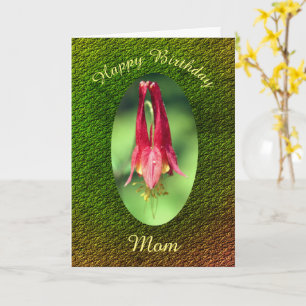 Tack Columbine Flower Birthday Kort