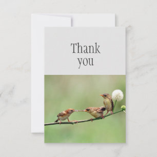 Tack Cute Bird Parent Baby Birds