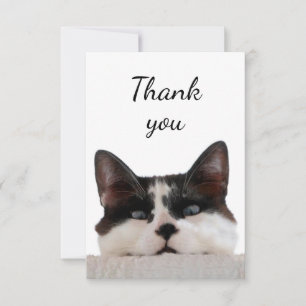 Tack Cute Cat Kitten Peekout på dig Kort
