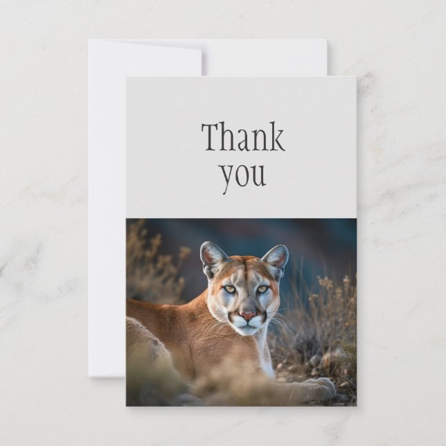 Tack Cute Cougar Mountain Lejona Vild katt (Framsida)