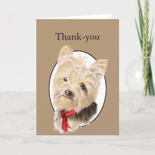Tack Cute Little Yorkshire Terrier Yorkie Hund Kort