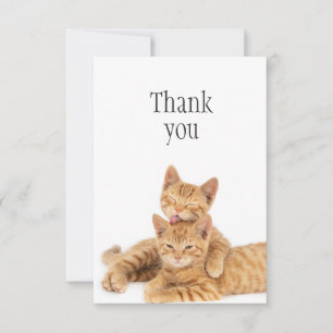Tack Cute Orange Tabby katt Kittens Kort
