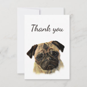 Tack Cute Pug Hund Djuren är tom bak Kort