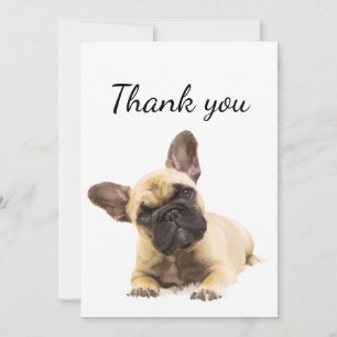 Tack Cute Pug Hund Djurens Roligt Kort