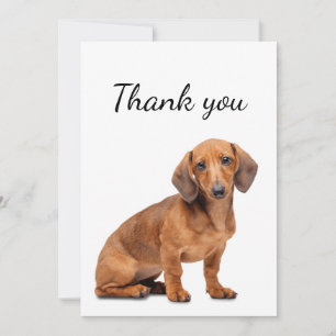 Tack Dachshund Hund Pet Animal Kort