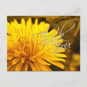 Tack Dandelion Gult Flower vycard Vykort