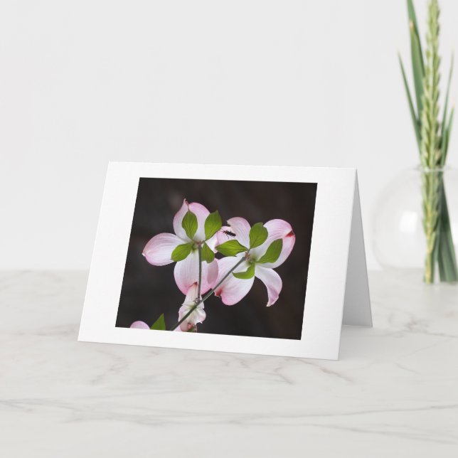 TACK DIG CARD (Framsida)