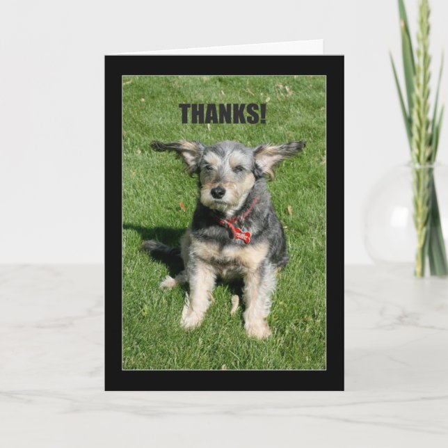 Tack! Din känslosamhet nästan blåste bort mig! Tack Kort (Framsida)