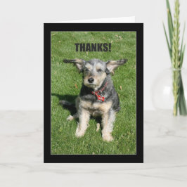 Tack! Din känslosamhet nästan blåste bort mig! Tack Kort