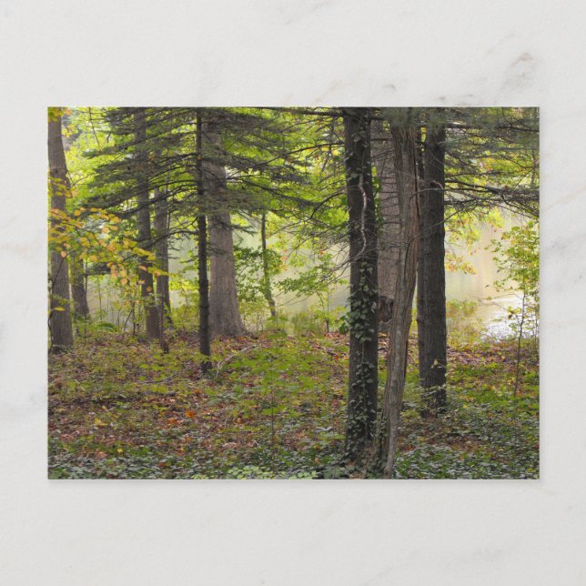 Tack, DSCF7047 Vykort (Framsida)