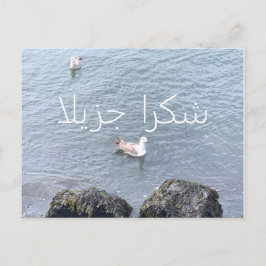 TACK DU CARD I ARABIC VYKORT