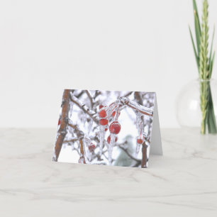 "TACK DU CARD/RED BERRIES ENCASESEED IN ICE /WINTE TACK KORT