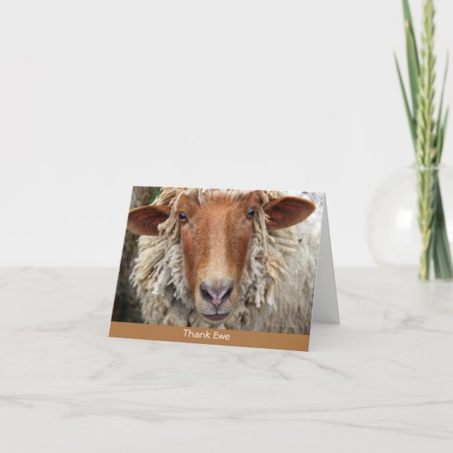 Tack Ewe: Ett vismiskt kort (Framsida)