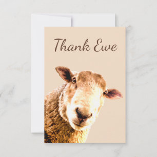 Tack Ewe Sheep Animal Humor Kort