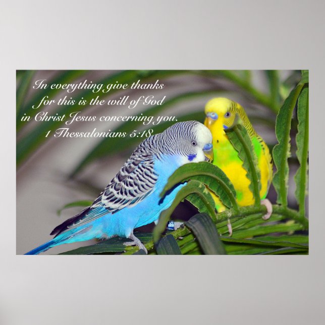 Tack för allt ge poster (Framsidan)