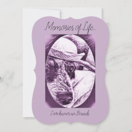 TACK FÖR ATT ATT BRY SIG KORTET - FÖRLUST AV