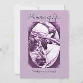 TACK FÖR ATT ATT BRY SIG KORTET - FÖRLUST AV