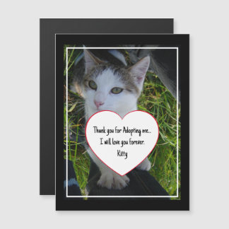 Tack för att du adopterar kärlek för alltid Katt a