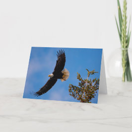 Tack för att du fick kortet Örn Kort