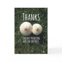 Tack för att du inte påpekade det uppenbara!