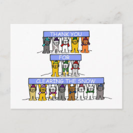 Tack för att du klargjorde Snö Vykort