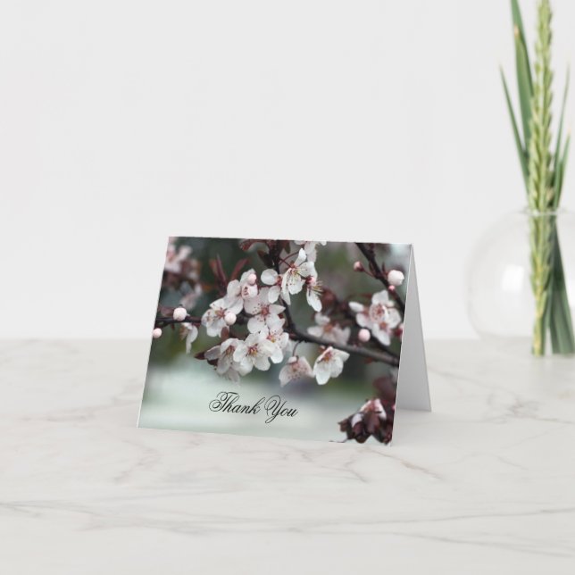 Tack för att du korsar plommonblommor kort (Framsida)