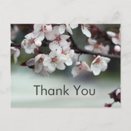 Tack för att du korsar plommonblommor vykort