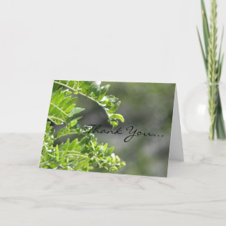 Tack för att du närvarar kort