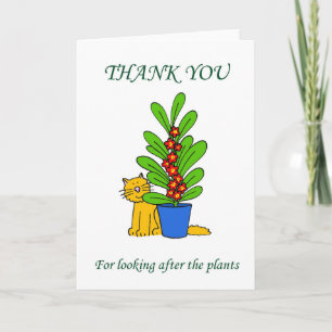Tack för att du tittade på plantorna kort