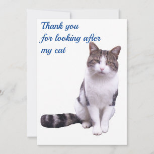 Tack för att du tittar efter mitt kattkort kort