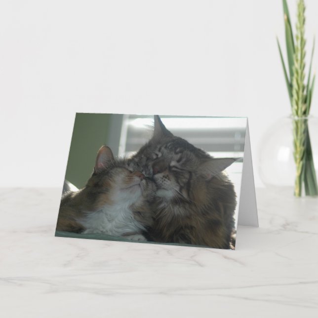 Tack för att vara vän kort (Framsida)