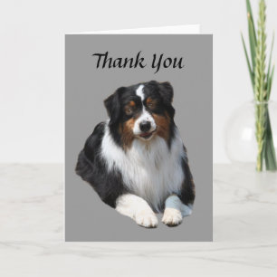 Tack för australian shepherd-kortet kort