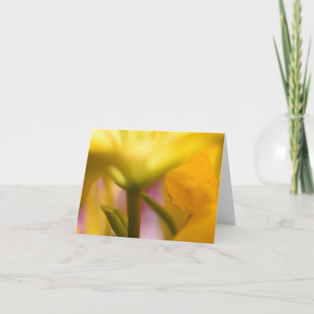 Tack för Blommigten BrightStor Gult (Framsida)