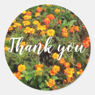 Tack för botaniska blommor i orangens röda grönt runt klistermärke