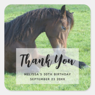 Tack för Cute Brown Horse Lutning i Grass Party Fyrkantigt Klistermärke
