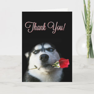 Tack för Cute Husky och Ro Kort