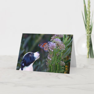 Tack för Cute Puppy och Butterfly-kortet Kort