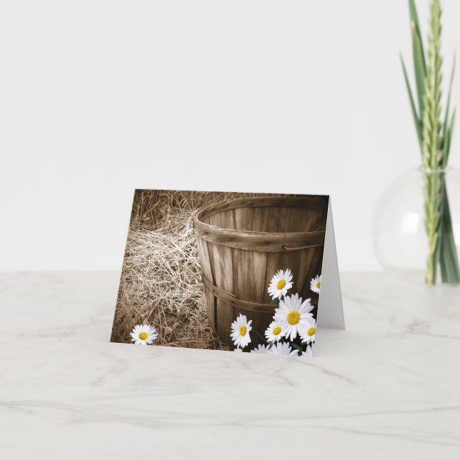 Tack för daisy (Framsida)