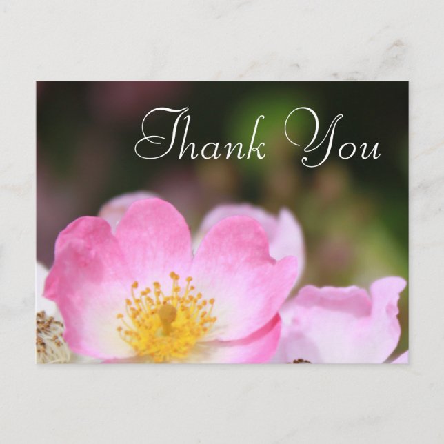 Tack för det vackra rosa-vilden-blomman ro-bröllop vykort (Framsida)