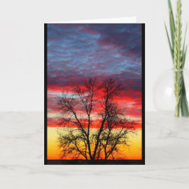 Tack för din service till vår Land Kort